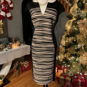 Established 1962 Sleeveless Stretch V-Neck Dress Professional Church Size 20